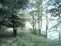 La casetta del conforto ( Pratomagno )