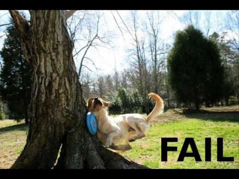 Failblog org