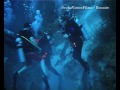 Coral Massacre in the caribbean