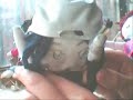 siam shanshe -haku (pv) siam shanshe -haku (pv)
