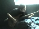 Red Hot Chili Peppers - By The Way - Bass Cover