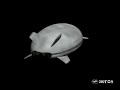 Aeroscraft hybird airship for DARPA Walrus