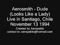 aerosmith   dude looks like a lady  live in chile 1994