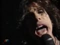 Aerosmith - Dude(Looks Like a Lady) Live in Chile 1994