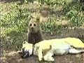 odd couple