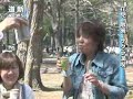 Click here to watch this video 桜前線一気に北上 札幌などで開花（2012/05/02）北海道新聞