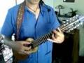 Charango Lesson #1 (English/Spanish)