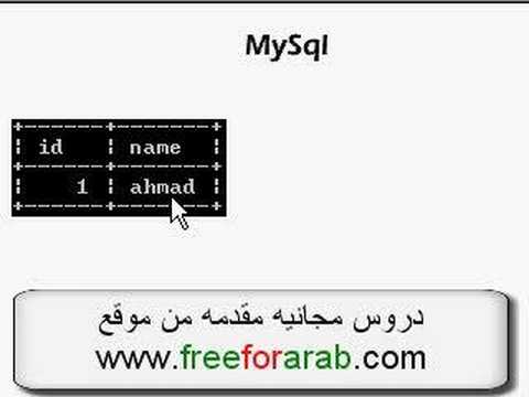 Mysql Database