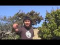 Vince vs Wild: The Forest of China