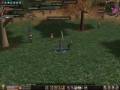 Metin2 Phelon XF xxxG0Dxxx