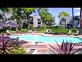 The Arbors on Westheimer Apartments for Rent in Houston, TX