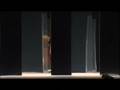 UMWELT (extraits) - Maguy Marin