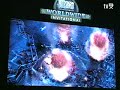 Starcraft 2 Playing Movie Starcraft 2 Playing Movie