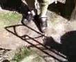 videos de frdsghd