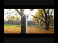 John McCormack - So Deep The Night