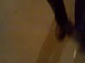 viejo facha de granada dando por culo con la policia