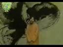 Raul Seixas - Gita