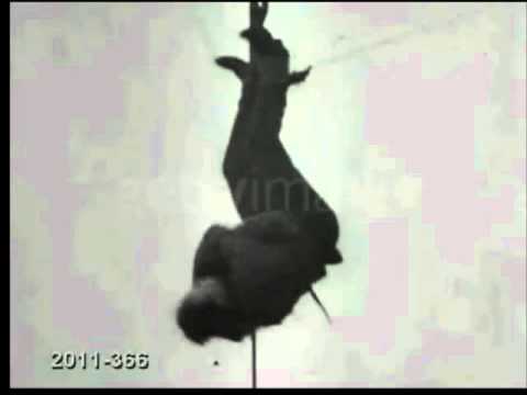 HARRY HOUDINI.wmv