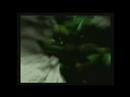 Zelda Twilight Princess- E Nomine Das Tier in mir (wolfen)