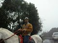 adil shabbir.AVI adil shabbir.AVI
