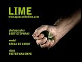LIME001 - Erika on Location