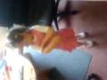 videos de MOV00003.3gp