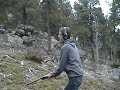 12 Gauge 4
