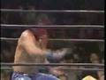 Great Muta Tribute