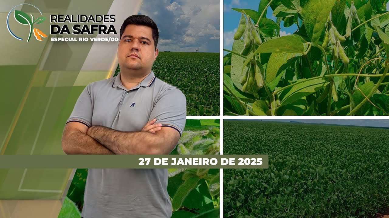 Notícias Agrícolas foi à Rio Verde/GO acompanhar a safra de soja 2024/25