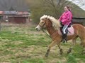 loona galope loona galope