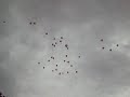 laché de ballons