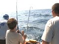 Barracuda 5-30
