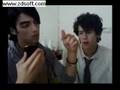 Jonas Brothers: Joe's Ringtone MTV Live and Mobile