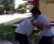 kresnick vs pecham