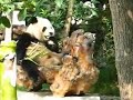 Travel Video Journal from China and Vietnam Travel Video Journal from China and Vietnam