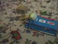 A day in budgie kingdom