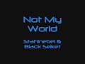 Not My World - Stahlnebel & Black Selket