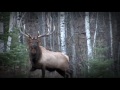 Largest Big Game Hunting Preserve in Wisconsin 
