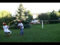 Backyard Tae Kwan Do sparring Backyard Tae Kwan Do sparring