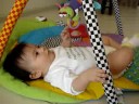 Maf� e seus brinquedinhos