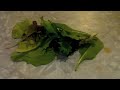 Tropical Salad