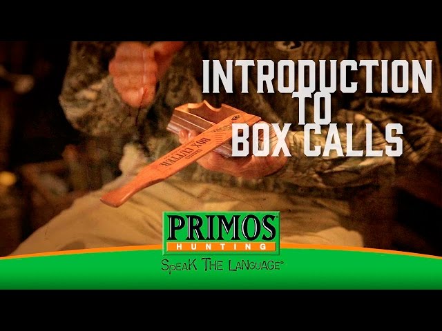 Introduction to Box Calls