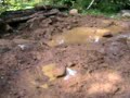 Rock Crawling a Nissan Frontier Nismo