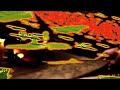 Kiev - Paul Simon Cover - 3D Projection Performance HD