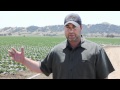 Will The Government Regulate Farmers Out Of Business?