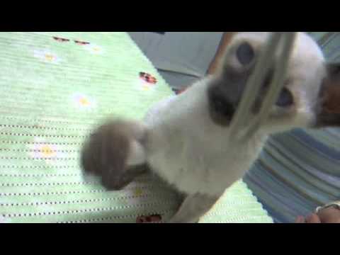 Guarda il video >>
