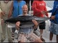 Yellowfin Tuna 123 Pounds(1 month ago)