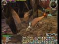 Runes of Magic: Solo MA part2 (Razeela)