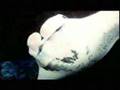  - MovieZen Video