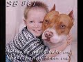 Animal Justice...